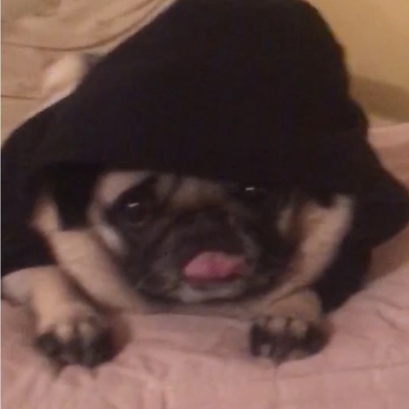 Meet your Posher, Dana & Jack - Picture 11 of 14